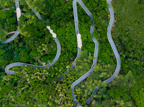 城市道路森林休闲栈道空中走廊摄影图片