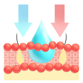 皮肤吸收补水水分