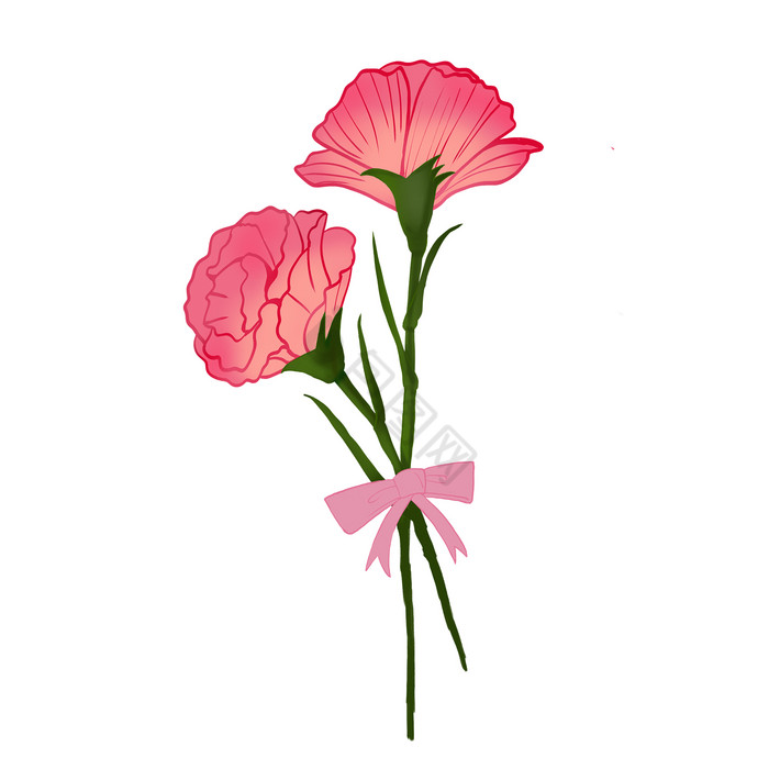 母亲节花束花朵康乃馨图片