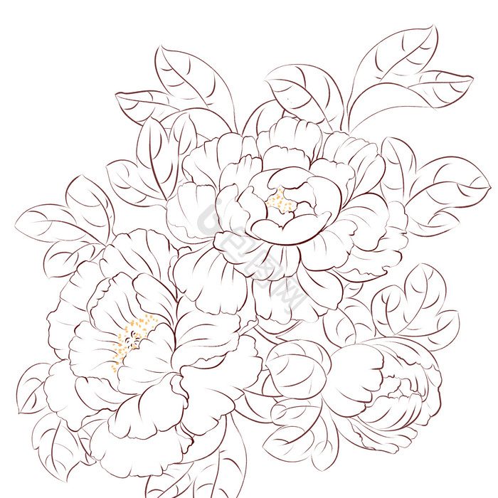 花朵线描图片-花朵线描素材免费下载-包图网