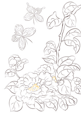 工笔花牡丹线描花朵图片