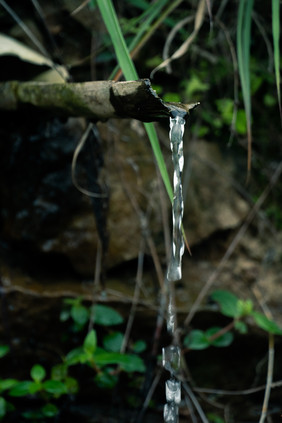 山间竹子水流摄影图