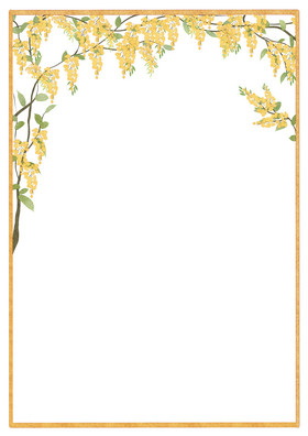 花边边框图片-花边边框素材免费下载-包图网