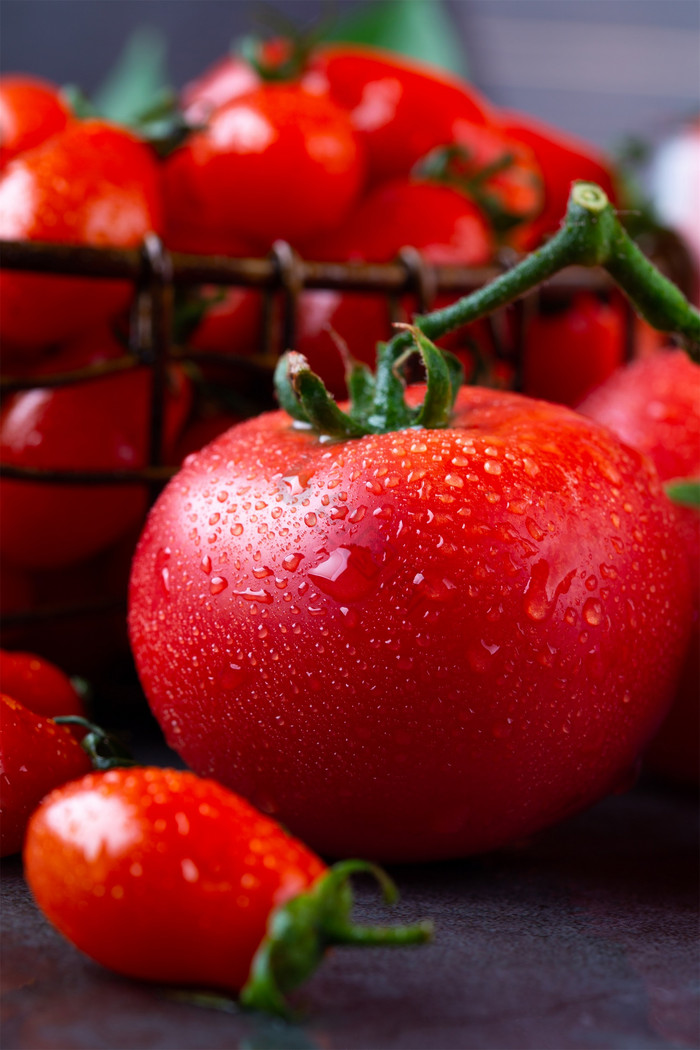 新鲜的西红柿水珠图片