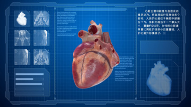 科技医疗心脏结构器官三维动画说明展示包装