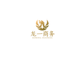 大气简约龙图形商务通用logoVI模板