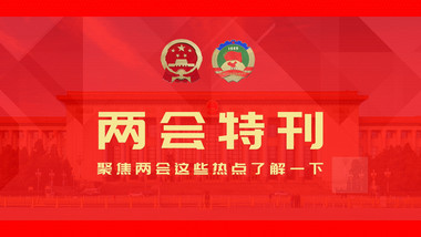 新时代两会热点党政企业单位宣传AE模板