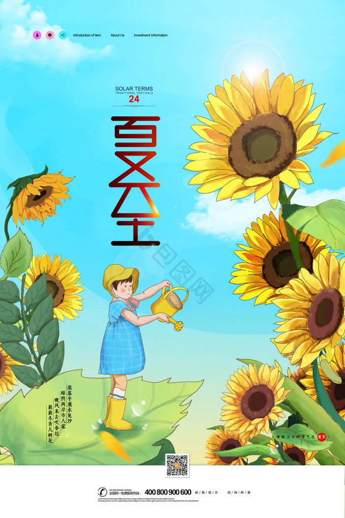 夏至向日葵插画图片