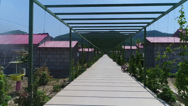 新农村建设水果蔬菜基地农村灌溉农业视频