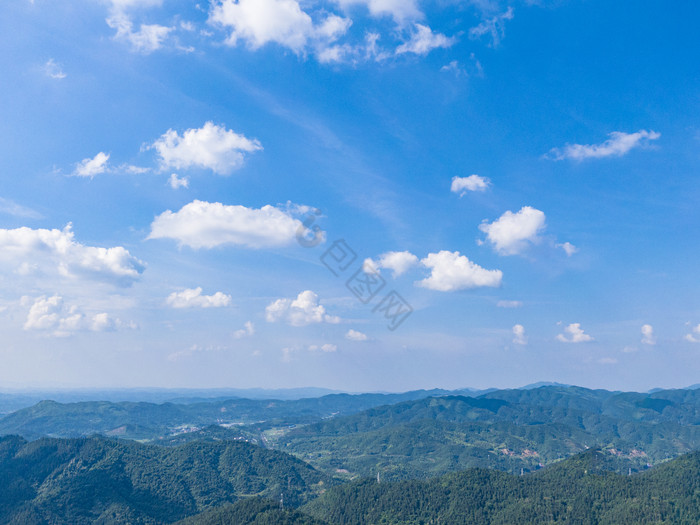 食物链漫画生动呈现生态平衡新视角，人类与自然关系引发深思，生物多样性保护刻不容缓，可持续发展之路任重道远