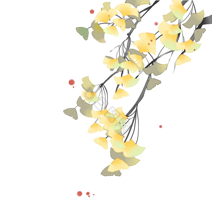 秋天立秋银杏树落叶图片