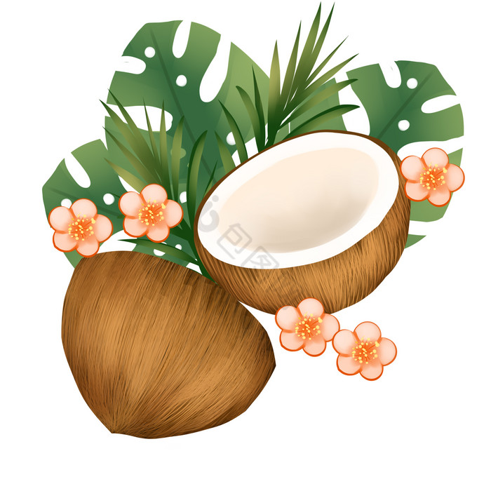 椰子椰子汁热带水果图片