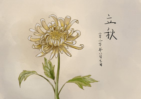 手绘立秋元素古风秋菊