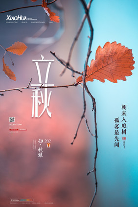 简约二十四节气立秋创意海报