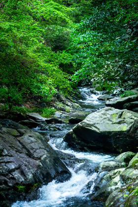 山涧小溪流溪水大暑