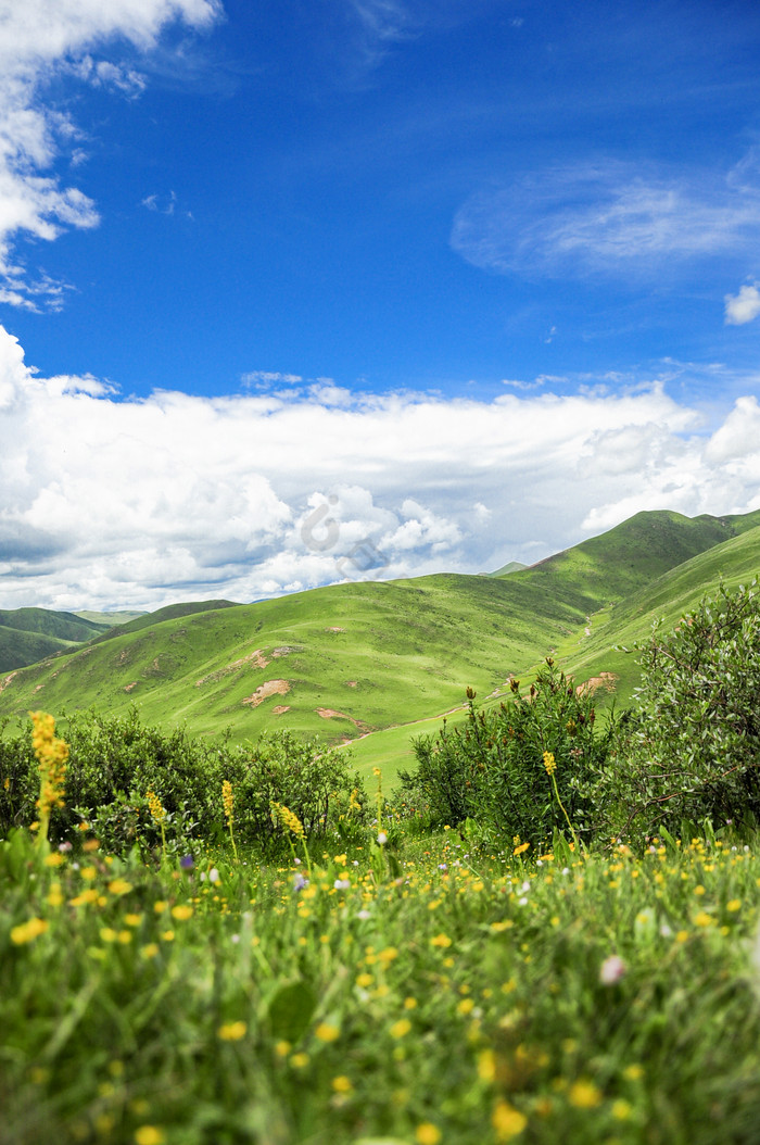 四川色达高山草原风景图片