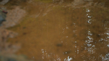 实拍雨季森林泉水小溪水面倒影水滴滴落视频