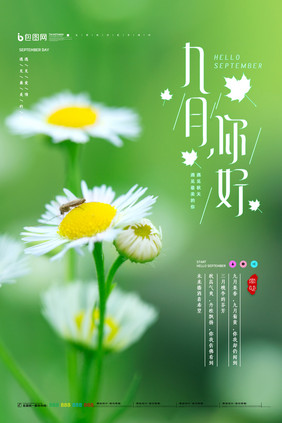 绿色小清新小菊花九月你好宣传海报