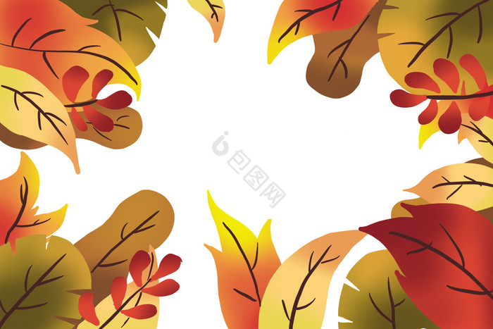 秋天秋季植物树叶边框图片