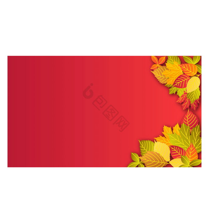 秋天彩色植物树叶