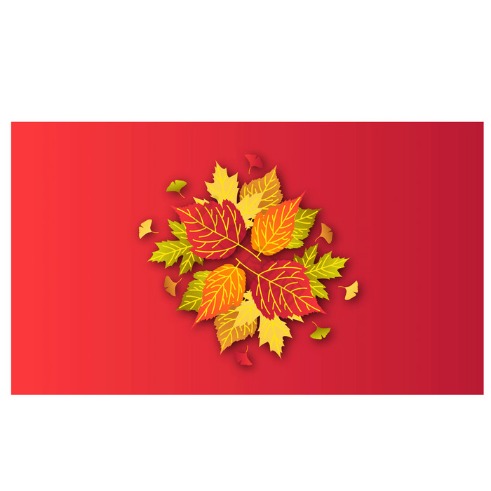 秋天秋季植物树叶图片