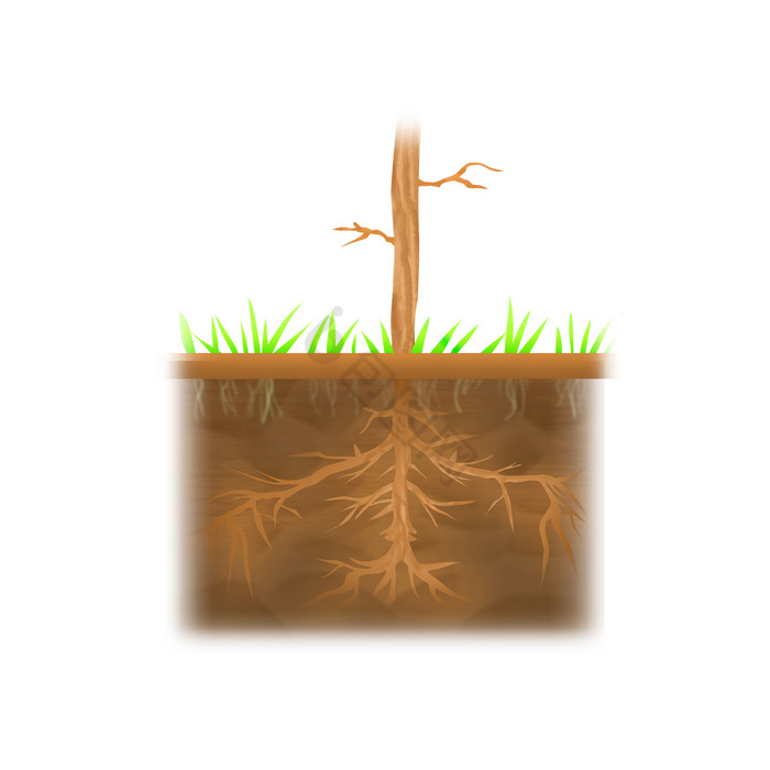 根土壤苗土壤农业图片