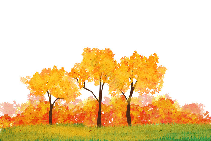 秋季树林树木金秋图片