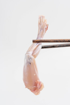 生鲜牛蛙腿鲜肉