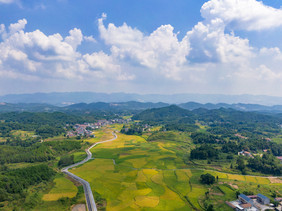 航拍乡村农业种植基地摄影图片