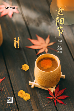 中式菊花茶重阳节海报