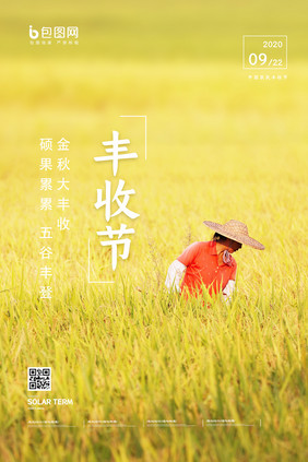 金秋丰收稻田成熟中国农民丰收节宣传海报