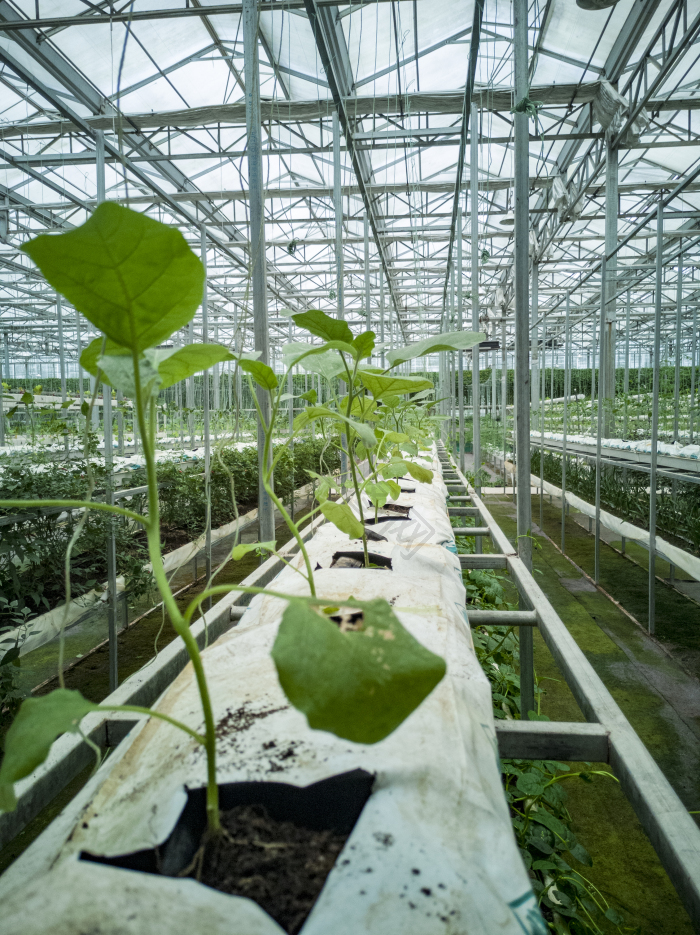 种植土图片-种植土素材免费下载-包图网