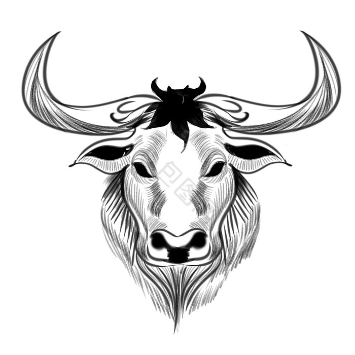 牛头图片-牛头素材免费下载-包图网