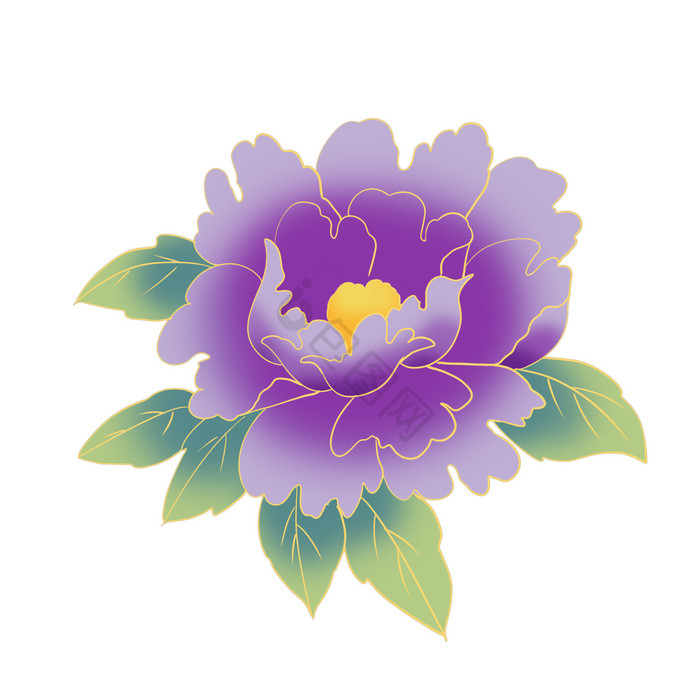 花开富贵图片-花开富贵图片模板