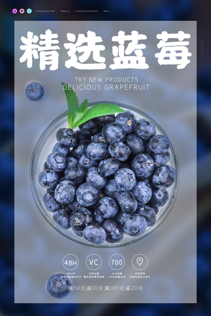 精选蓝莓有机时令水果图片