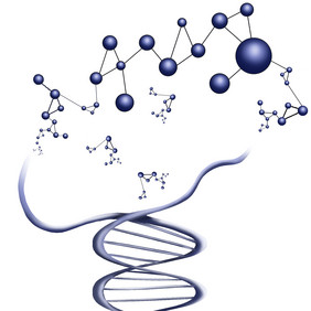 化学基因dna分子
