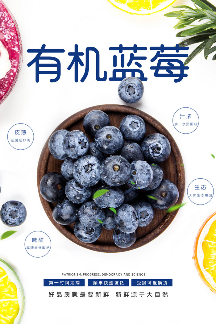 有机蓝莓新鲜时令水果图片