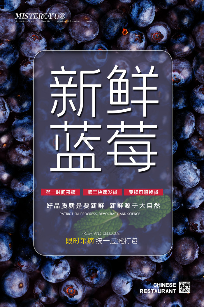新鲜蓝莓有机水果促销图片