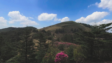 震撼航拍百草岭山峰杜鹃花高清视频素材