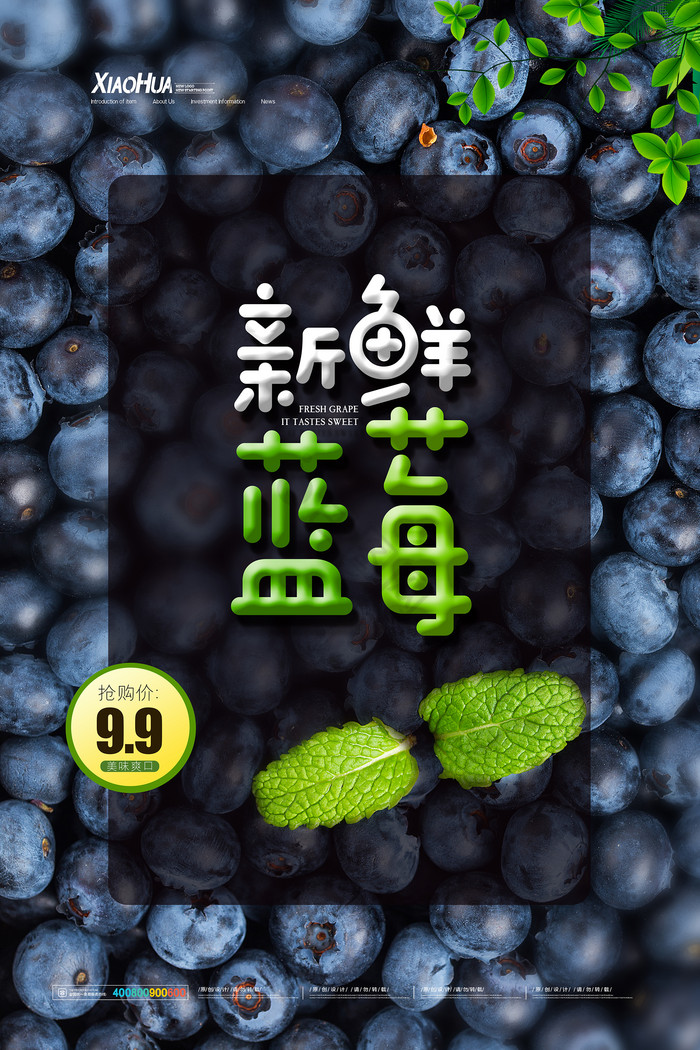 新鲜水果新鲜蓝莓图片