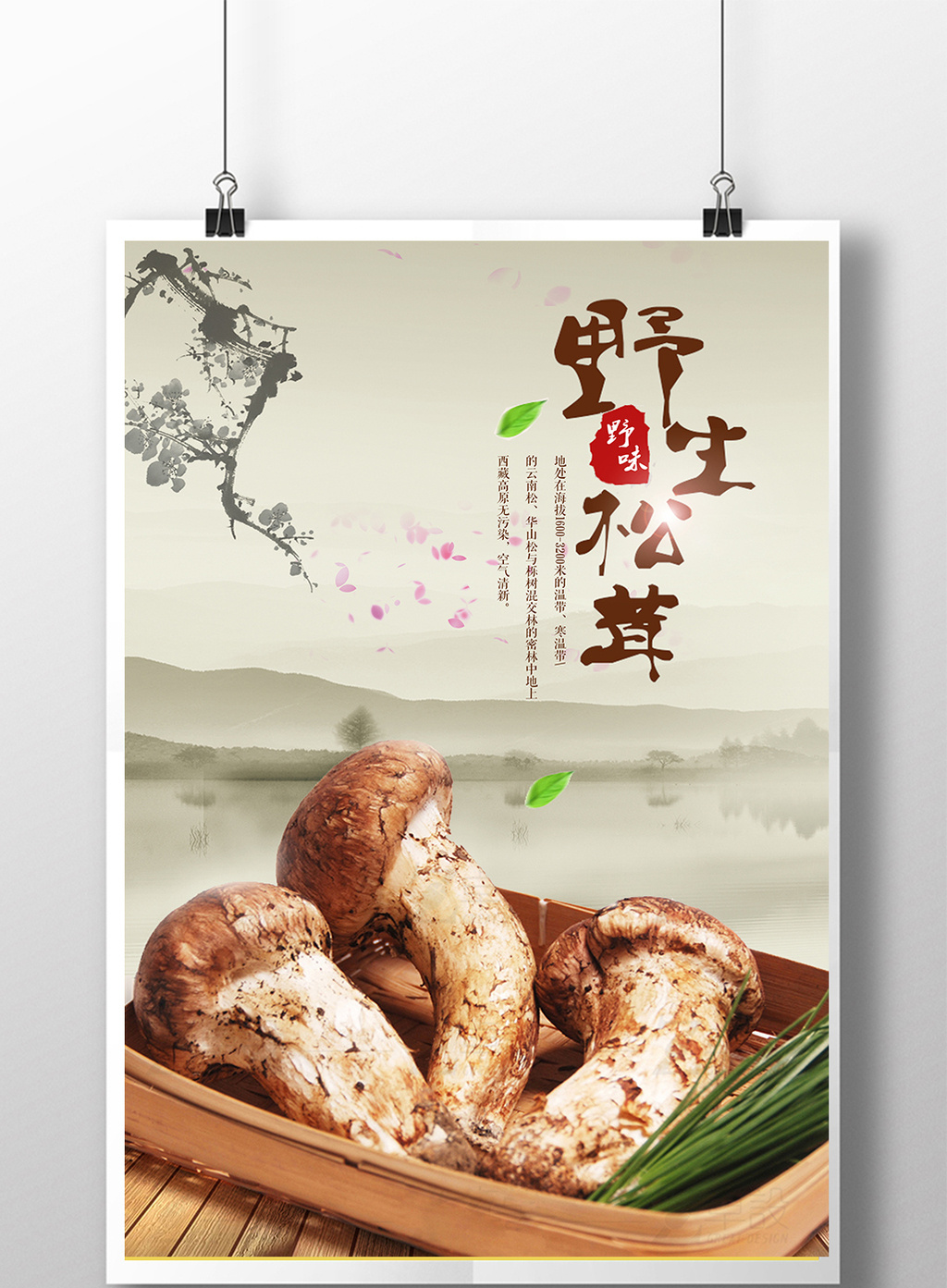 野生松茸土特产海报