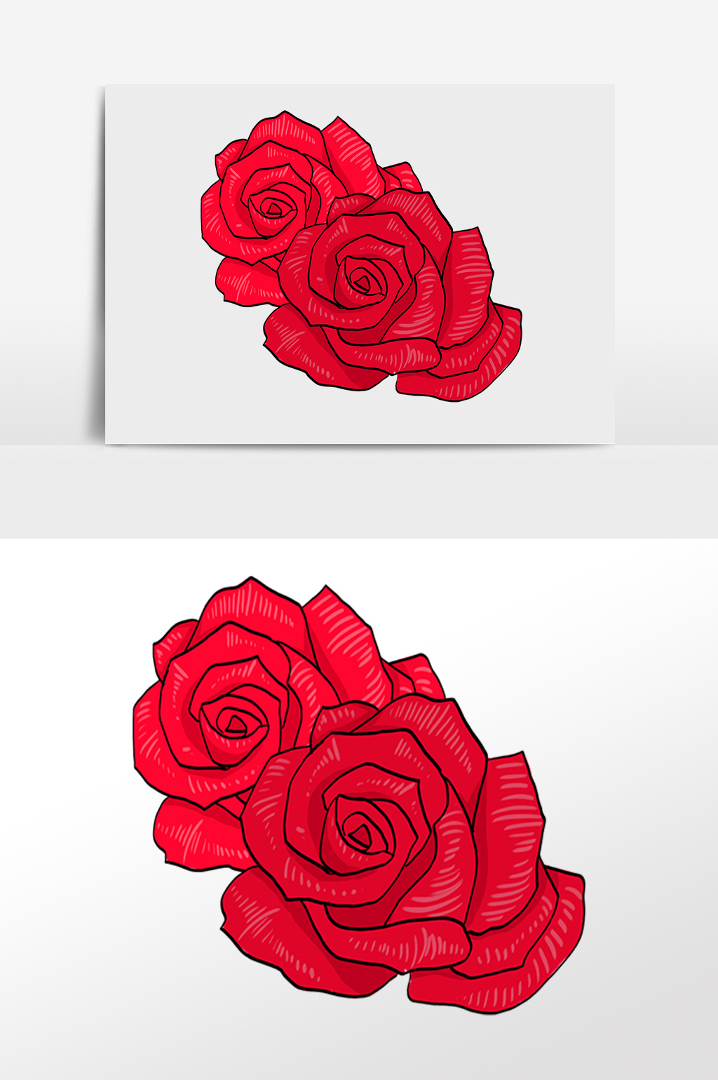 手绘红色玫瑰花插画