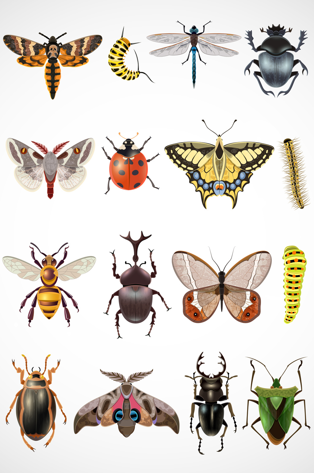 包图 广告设计 装饰图案 > 逼真昆虫元素矢量图形 上传时间2017-04-25