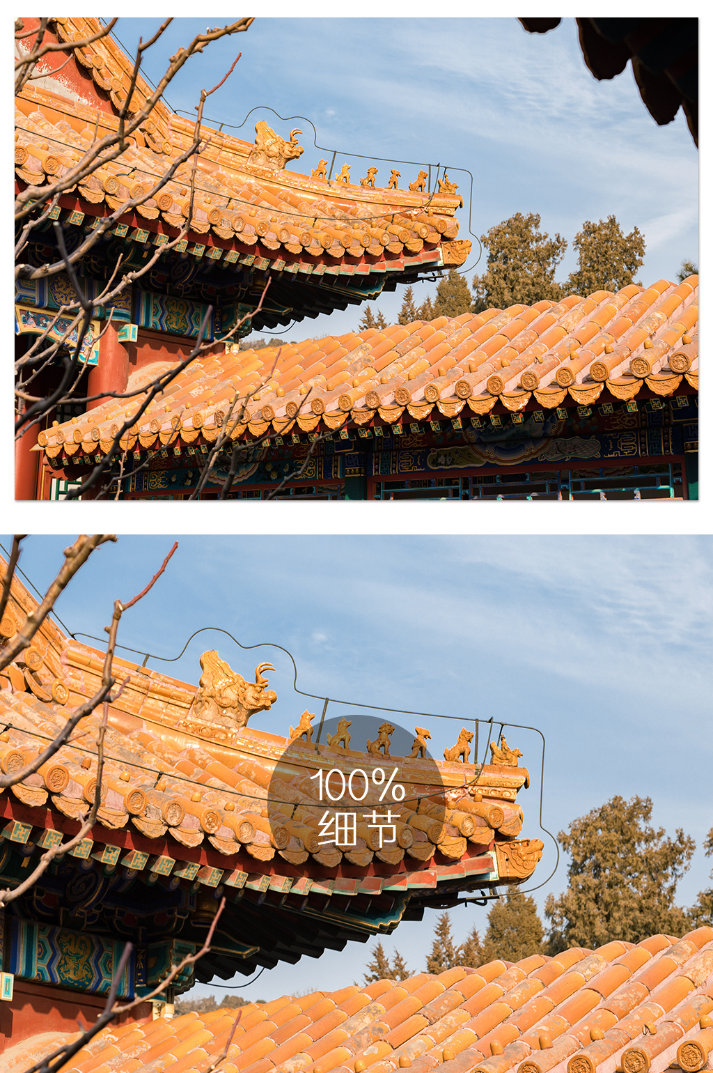 传统建筑挑檐特写摄影