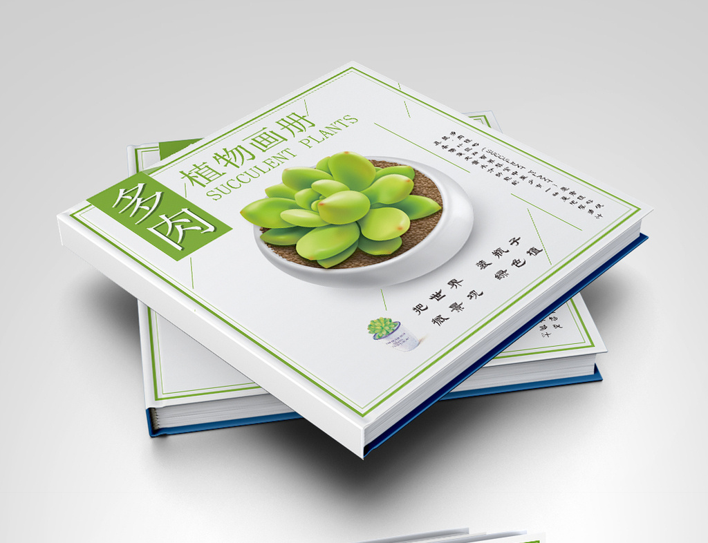 绿色多肉之物画册封面