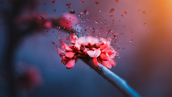 安静朝霞下午茶配乐