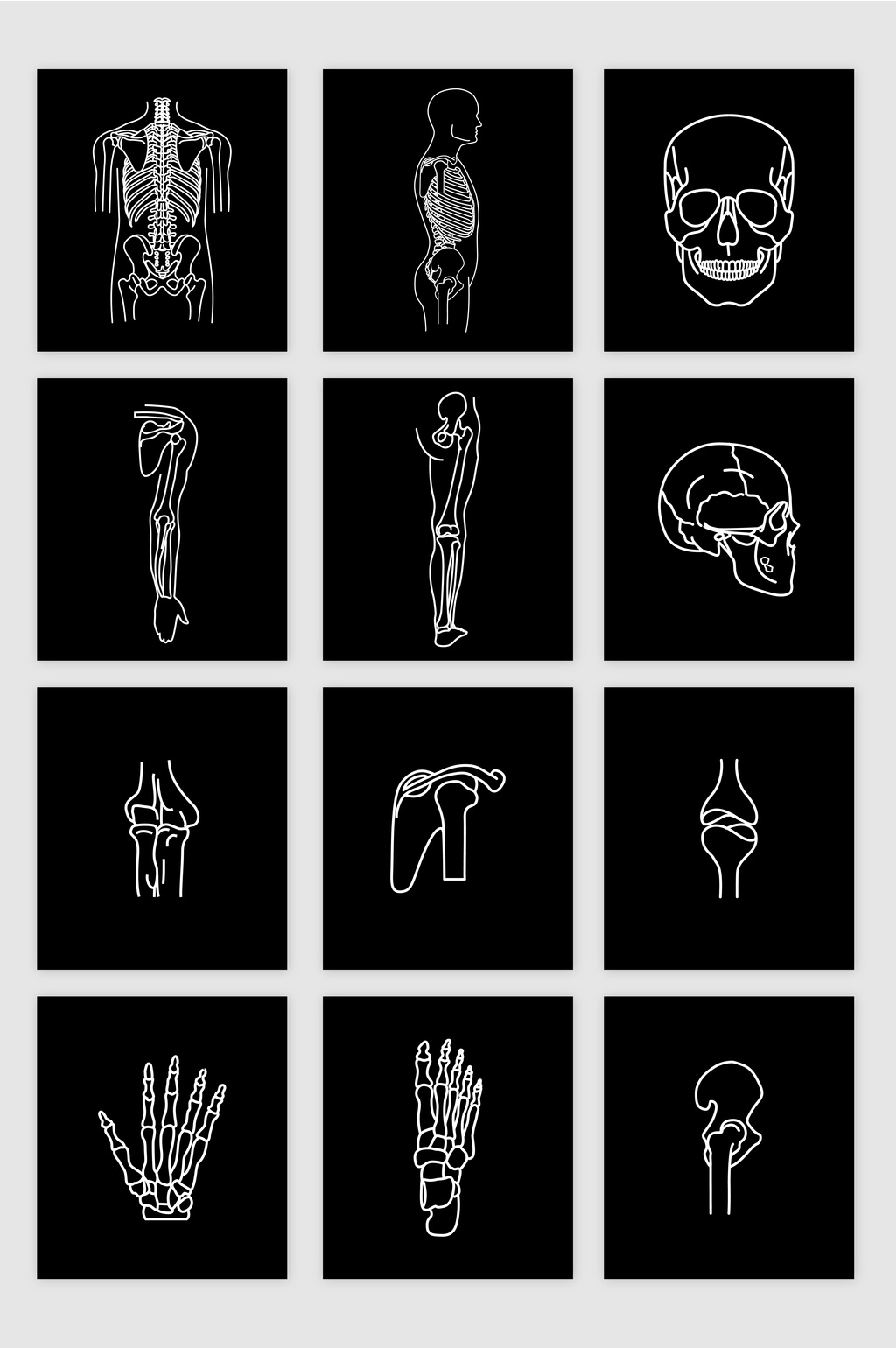 12款矢量线条人体解剖图