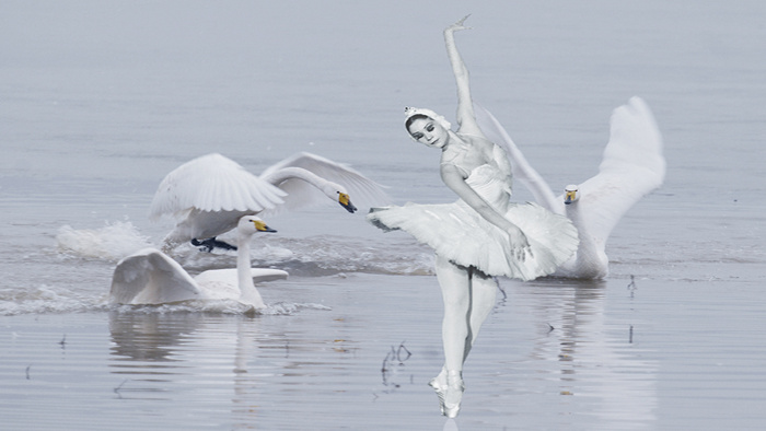 梦幻欢快轻盈芭蕾舞步配乐