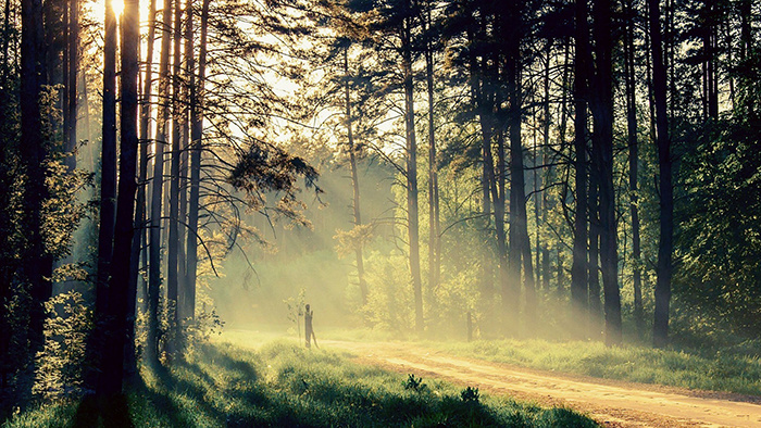 安静低调感觉的背景音乐