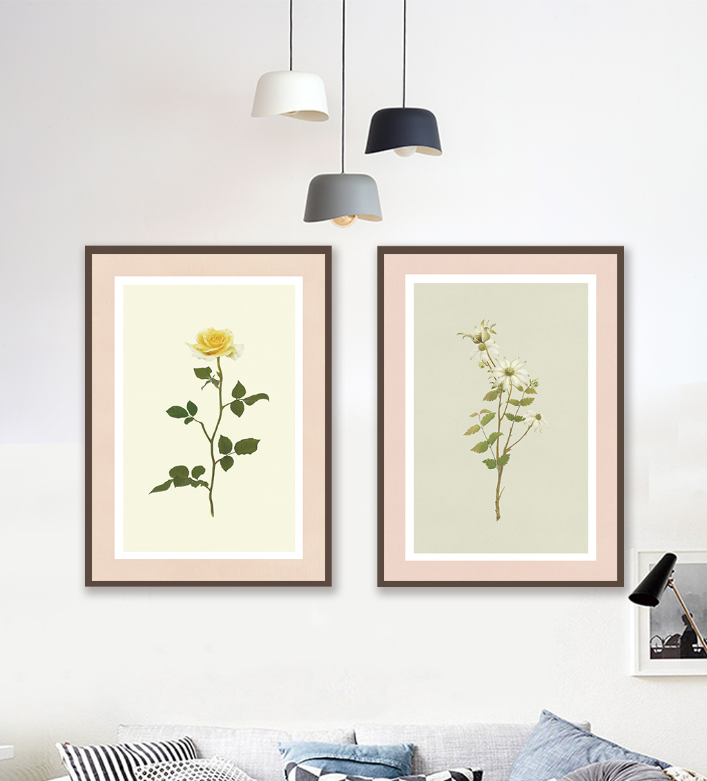 简约植物花卉文艺清新装饰画